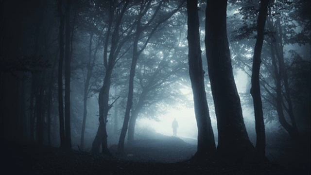 Shape of Despair - Reaching the Innermost (2015)
