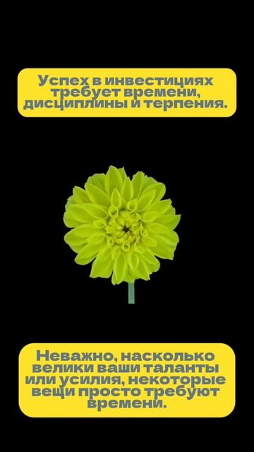 Ничего не бойтесь! | InveStore.club