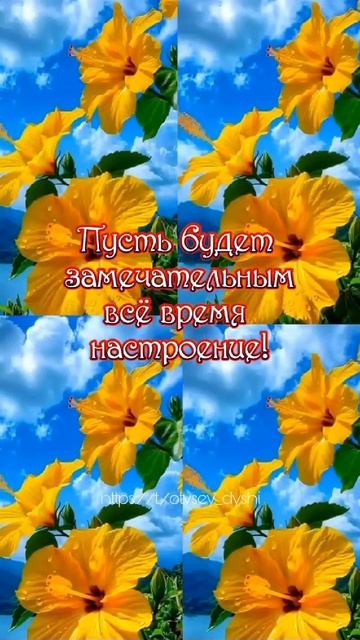 VID-20250316-WA0121