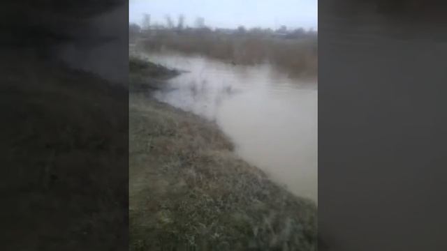 С Баймирза .апрель слив води с платени
