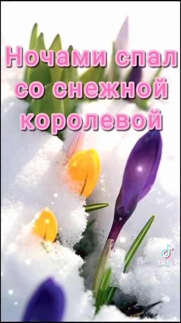 VID-20250315-WA0044(1)