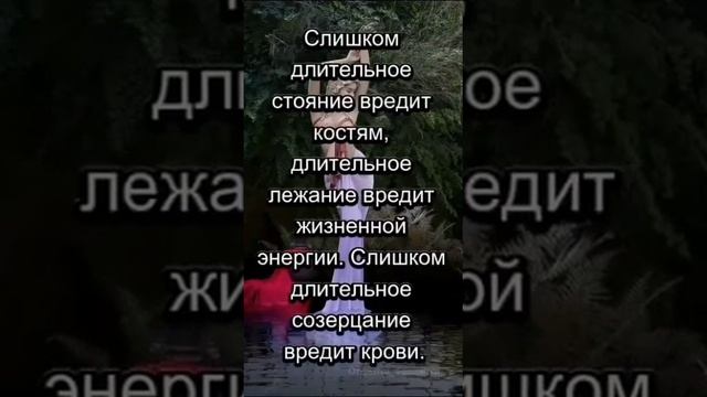 VID-20250220-WA0040