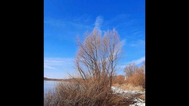 16-03-2025 Потом была небольшая дневная солнечная прогулка по берегу реки...