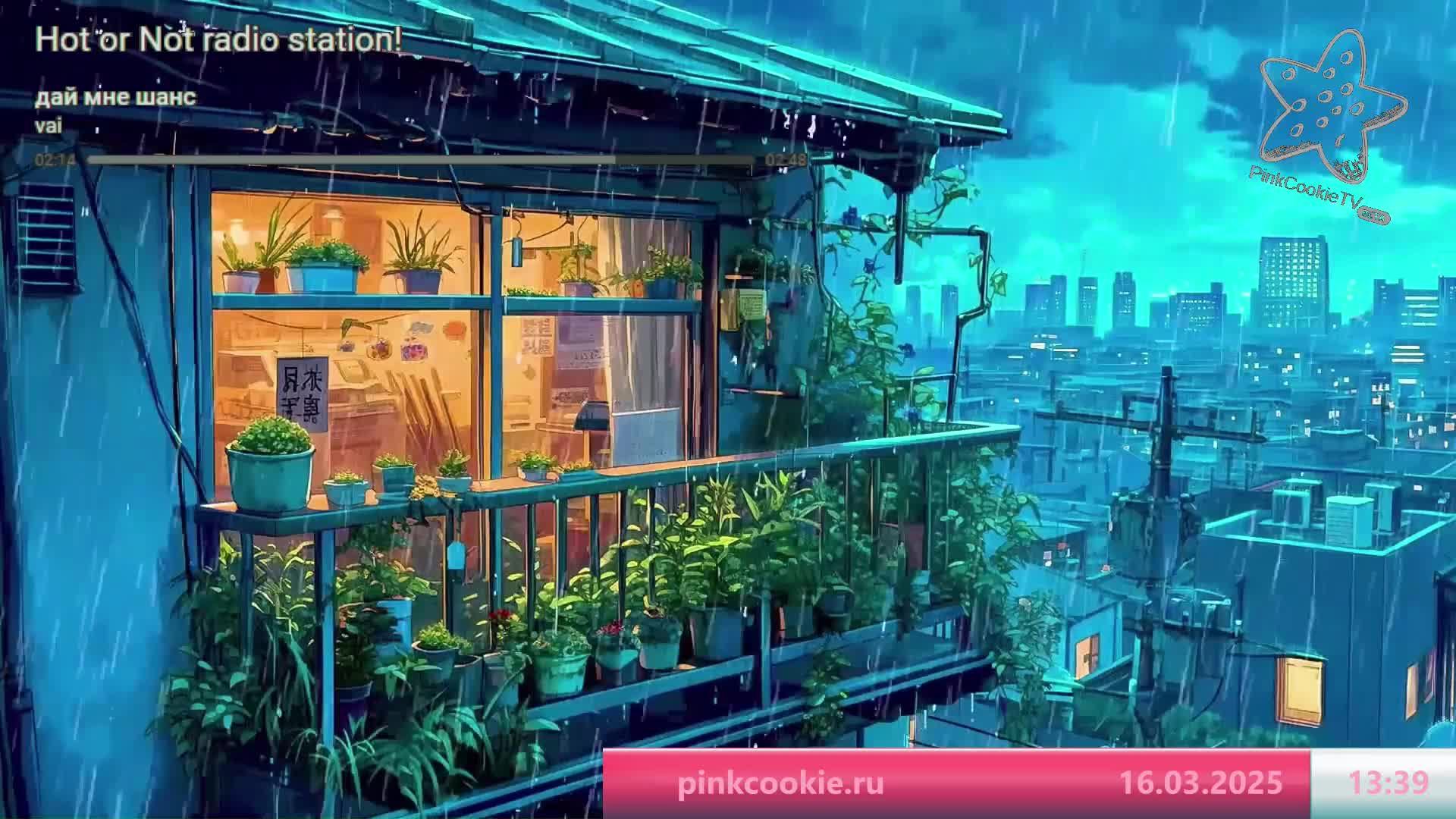 PinkCookieTV музыкальное креативное ТВ