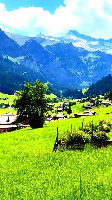 В кадре: момент волшебства