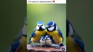 Это очень красиво...