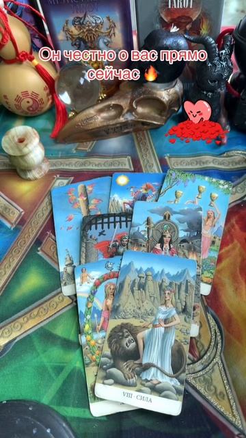 Он честно вас прямо сейчас🔥#таро #tarot #таролог #shorts