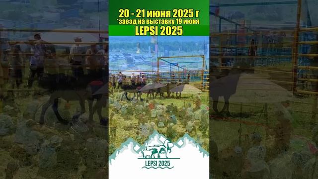 LEPSI-2025 Международная выставка животноводства. Казахстан #shorts #казахстан #lepsi