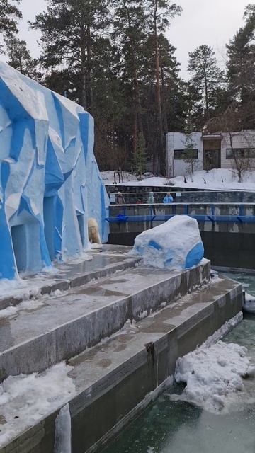 Белый медведь Герда #siberian #герда