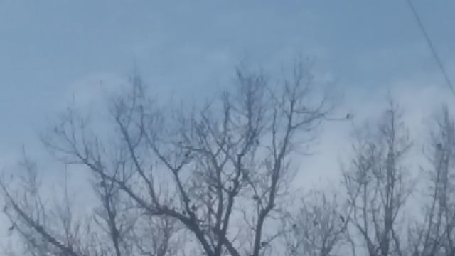VID_20250313_155105