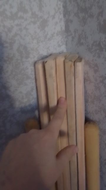 будущий аниматроник