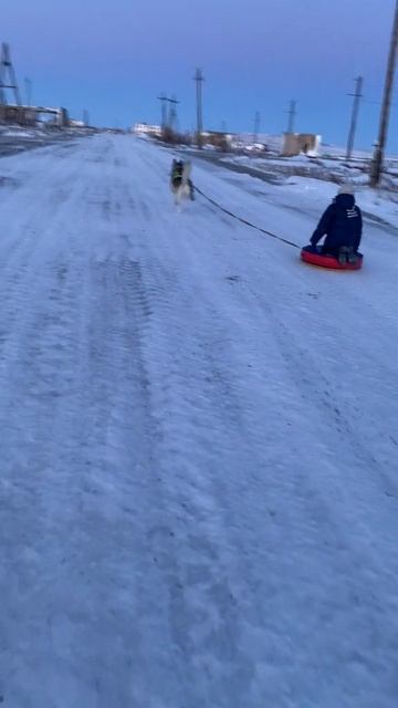 #покатушка на ватрушке