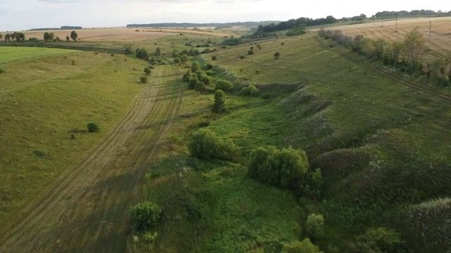 Тульская область. Чернский район. Урочище Красный Клин. Июнь