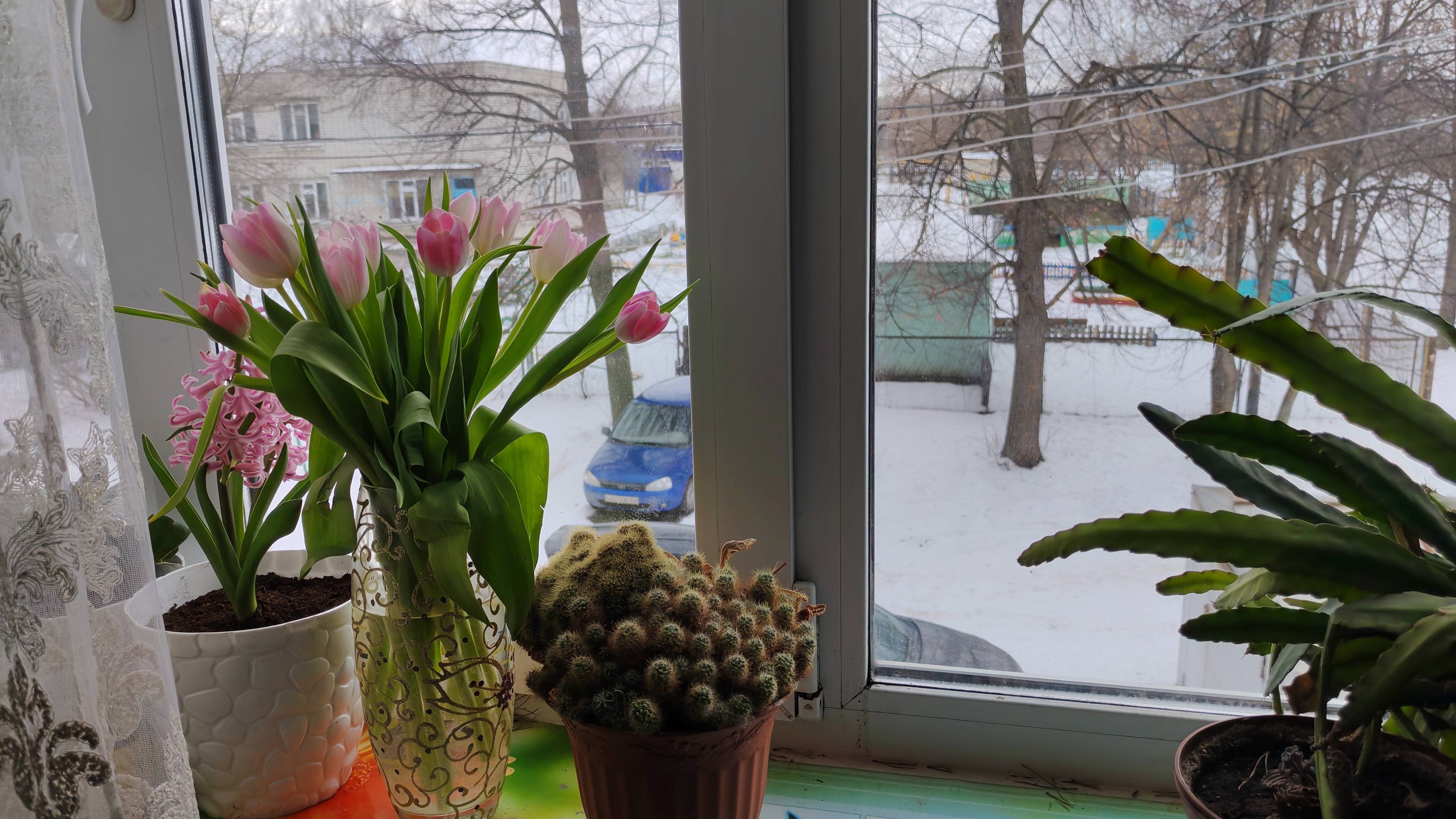 классная суббота