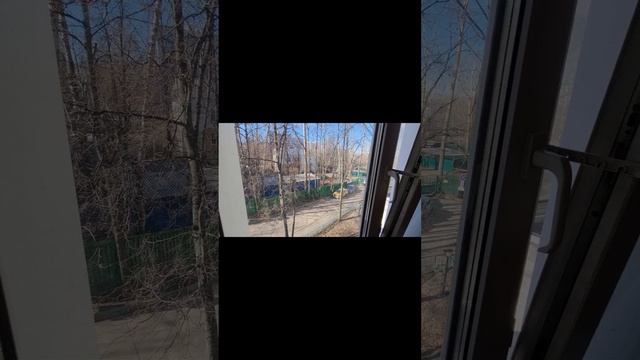 1000173865.mp4