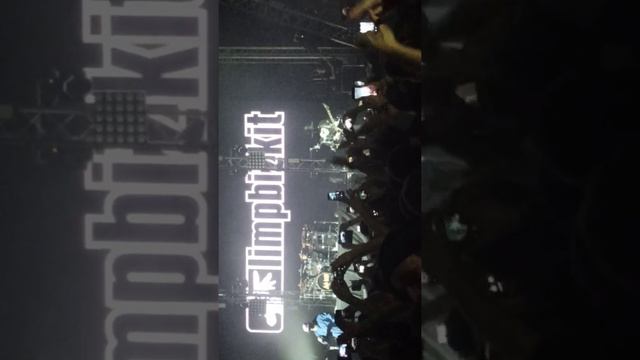 Limp Bizkit-Livin' It Up (Краснодар 2020)