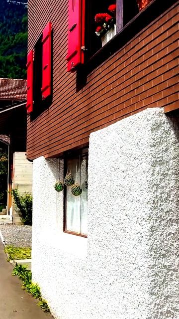 Камера не подведет