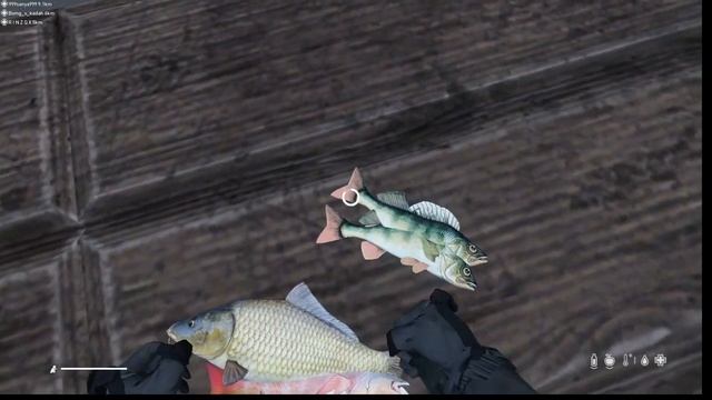 Dayz сервер  Area[51] Рыбалка