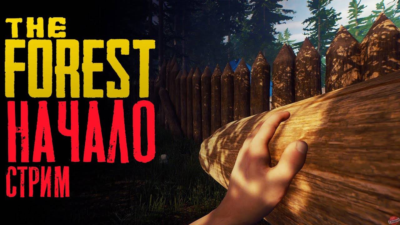 играем в The Forest