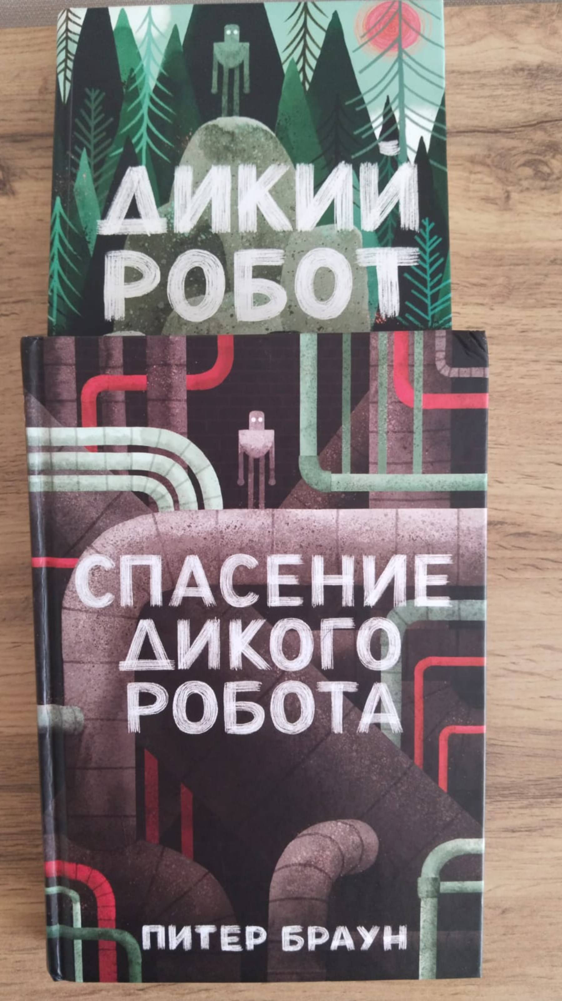 Обзор на серию книг и мультфильм "#Дикий робот"/ #the wild robot