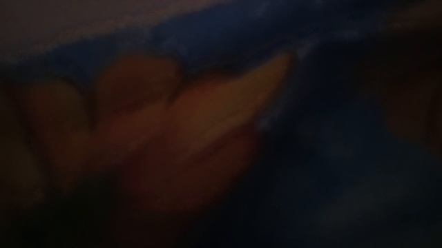 1000005150.mp4