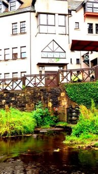 Неожиданные кадры жизни