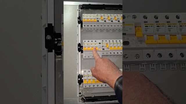 1000019072.mp4 (Собака смотрит на электроснабжение дома А-фрейм)