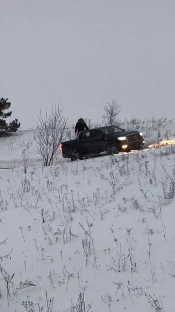 Грейтвол и грка неберучка