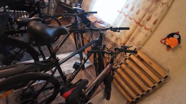 Давайте познакомимся с семьей велосипедистов.