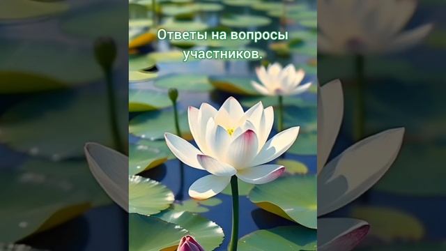 Онлайн встреча с ДУХОВНЫМ МЕГА МАСТЕРОМ НИ-ЧТО 29 Марта 2025