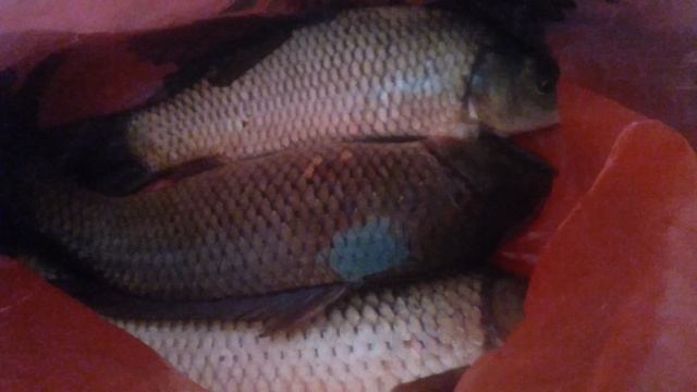 VID_20250314_080443