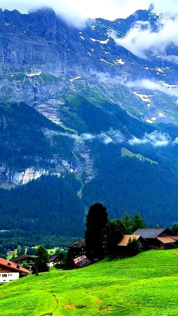 Камера запечатлела неожиданный момент