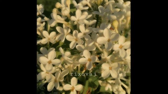 nuages-closer (slowed rixovaj)