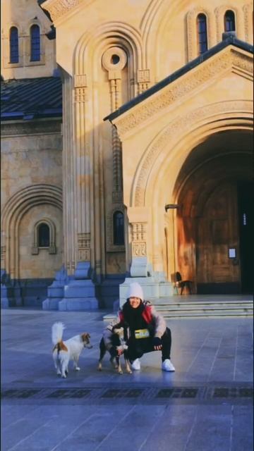 Tsminda Sameba Cathedral 🇬🇪 มหาวิหารศักดิ์สิทธิ์แห่งทบิลิซี #georgia #dogs #tsmindasameba #shorts