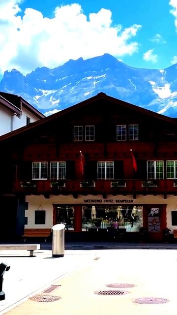 Моменты, захваченные камерой