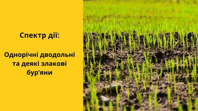 Гербіцид Юкон 🍂 , опис препарату 🍂