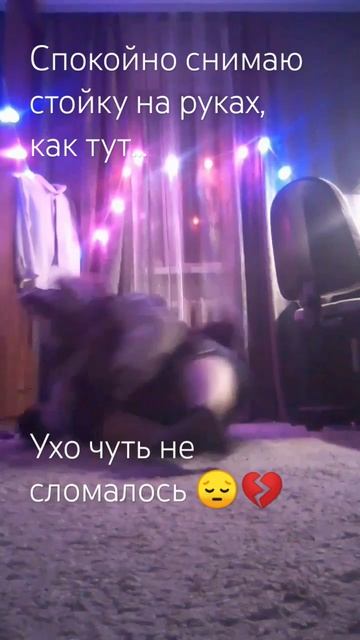 меня правда это сильно тронуло... #квадробика #териан #волк #квд #кошка