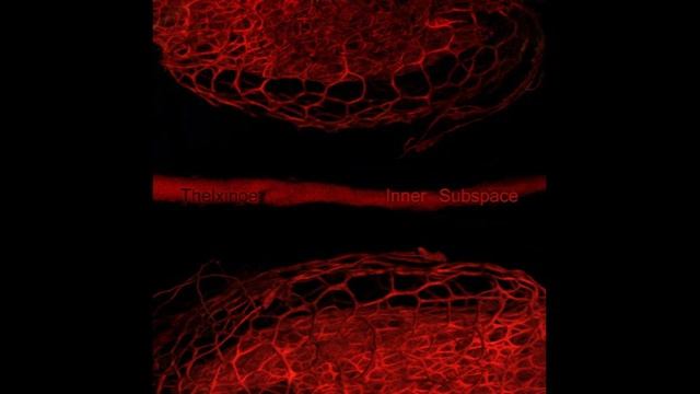 Thelxinoe – Inner Subspace    2012 [Album]