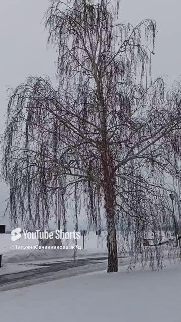 Еще родственная душа #счастье #жизнь #энергетикачеловека #психологонлайн #психологияотношений