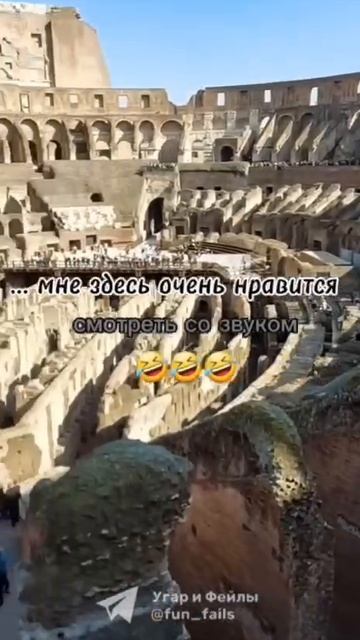 битва гладиолусов