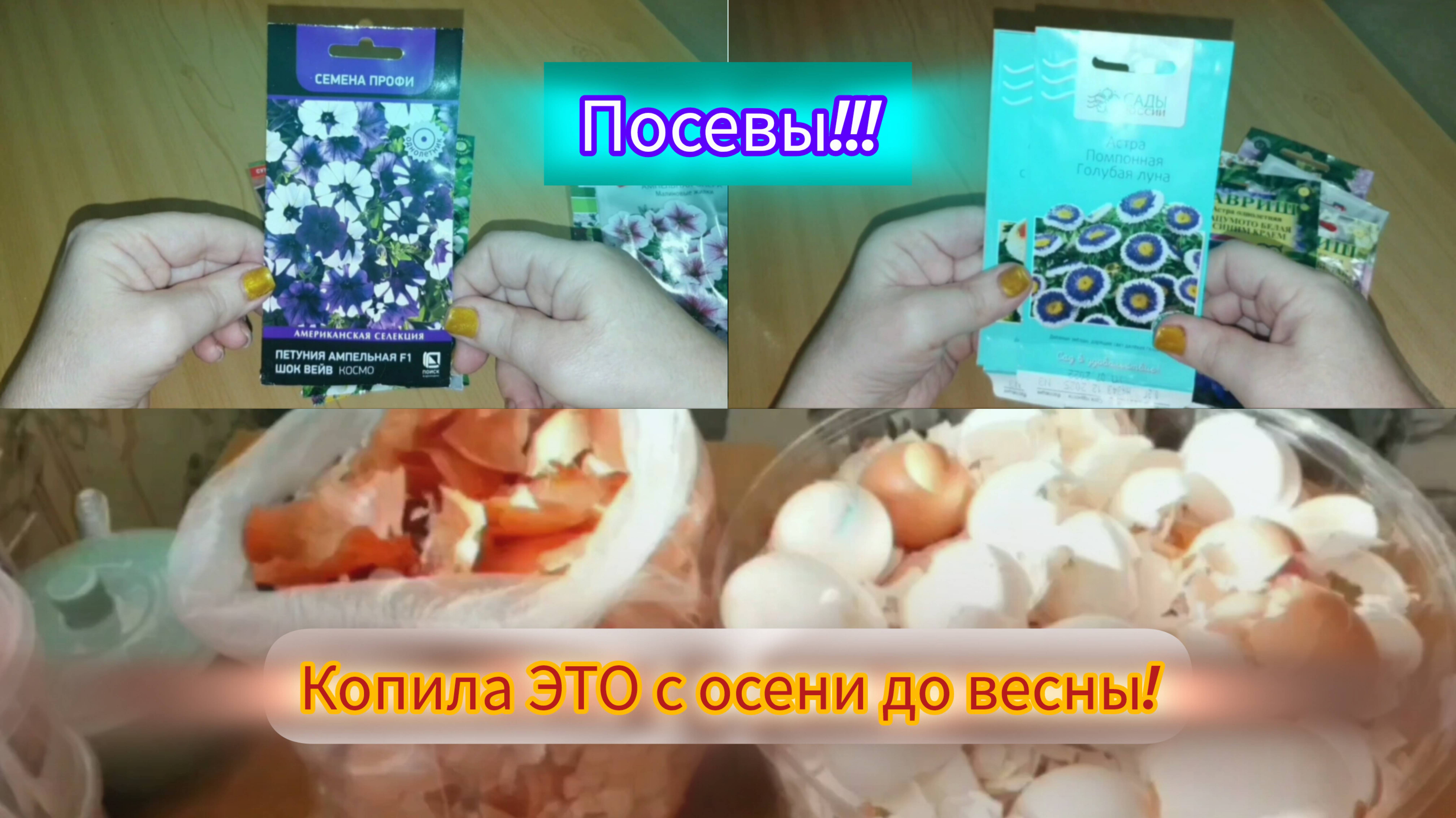 10.03.2024 1ч. Удобрение - ЛЕГКО!!!😌Посевы каждый день!💮🌸🏵Продолжение следует...