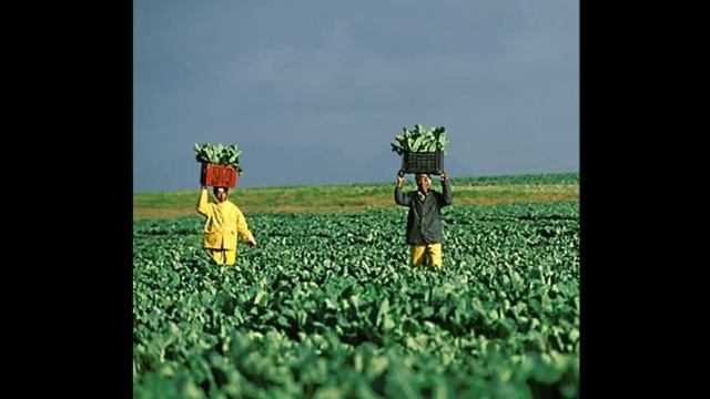 free MF DOOM x earl sweatshirt type beat - "howisu."