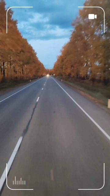1000082794.mp4