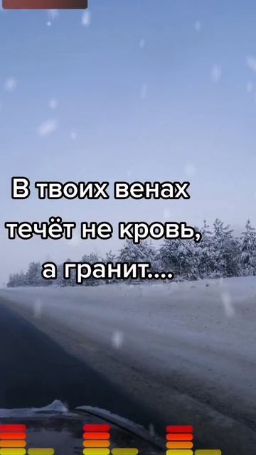 1000530233.mp4