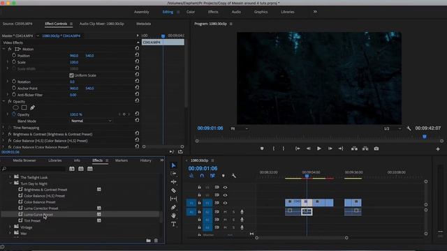 How to Import Premiere Pro Presets