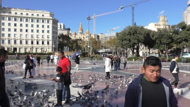 Барселона. Площадь Каталонии1440026