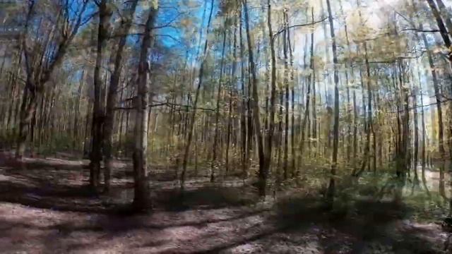 Dj Soul Труба ( remix )