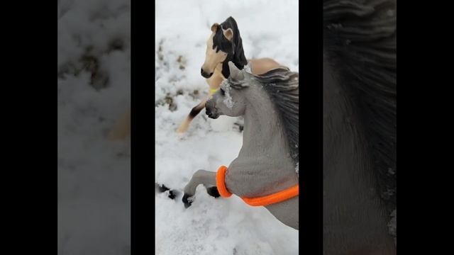 Сериал Шляйх. 6 серия. 
,, Забытая легенда ,,