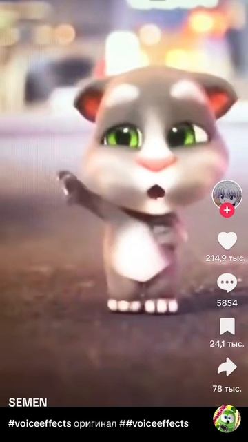 котенок том танцует.