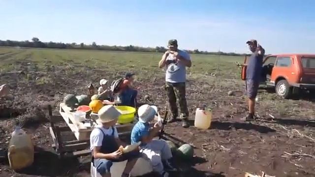 ОТЦЫ и ДЕТИ Саратов Бахча